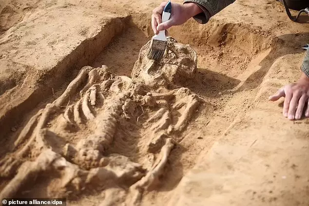 Unveiling the Past: Archaeologists Discover Noble Woman Buried Beside ‘Husband’ 1,000 Years Ago, with the Top of Her Face Hollowed Out.